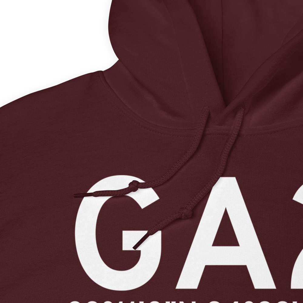 Williamson (GA2) Airport Hoodie Sweatshirt 