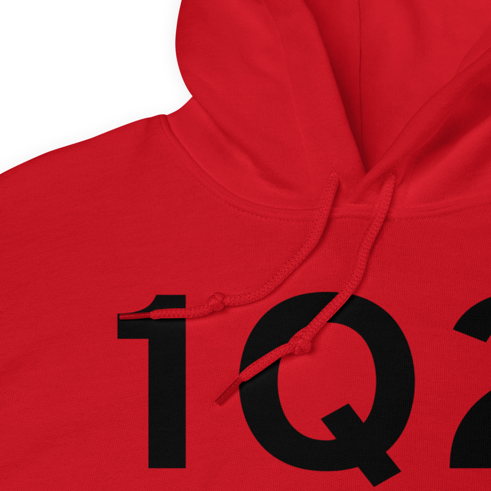 Susanville (K1Q2) Airport Hoodie Sweatshirt 