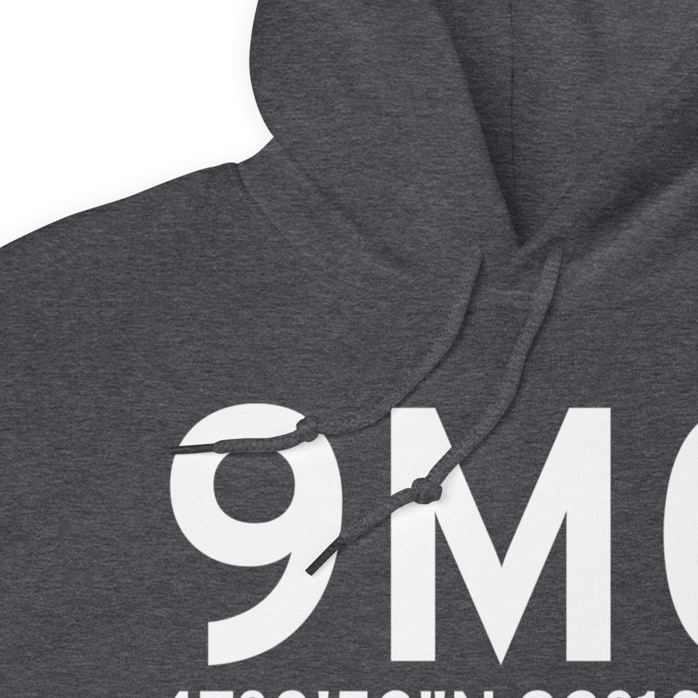 Duluth (9M0) Airport Hoodie Sweatshirt 