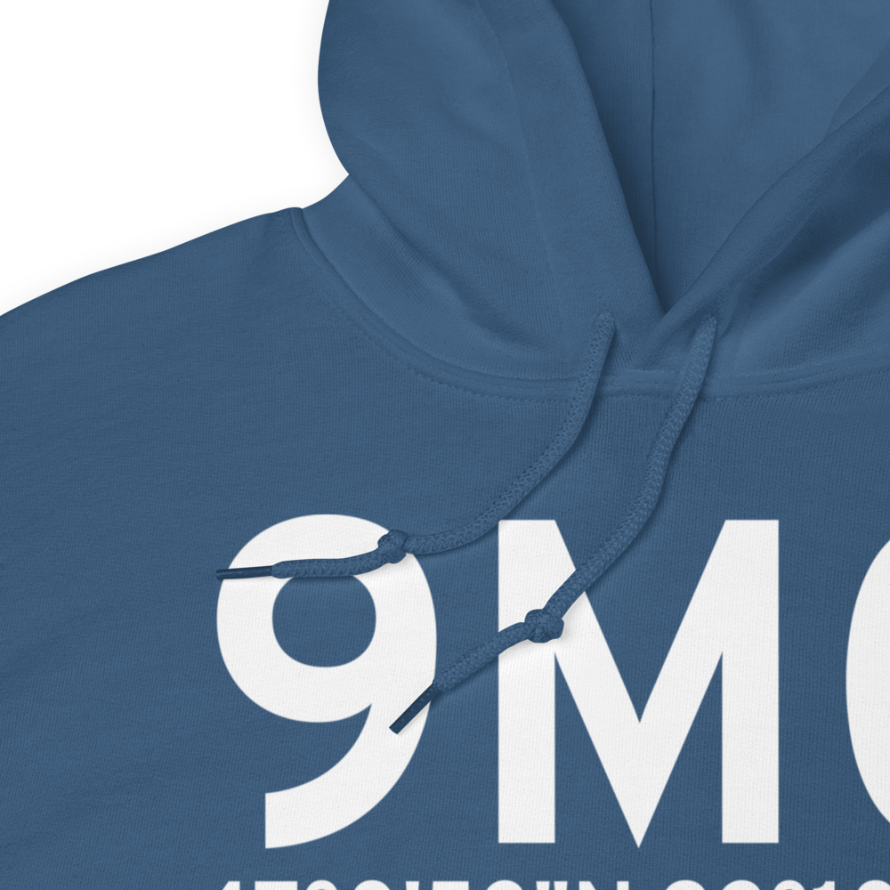 Duluth (9M0) Airport Hoodie Sweatshirt 