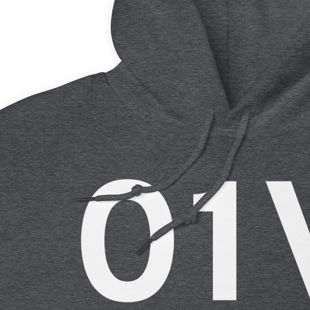 Aurora (US-0174) Airport Hoodie Sweatshirt 