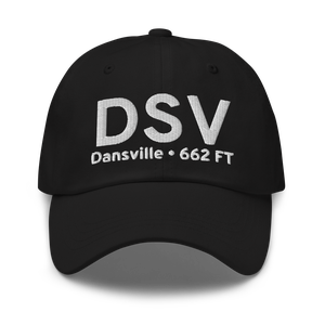 Dansville (KDSV) Airport Hat