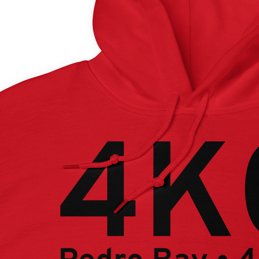 Pedro Bay (4K0) Airport Hoodie Sweatshirt 