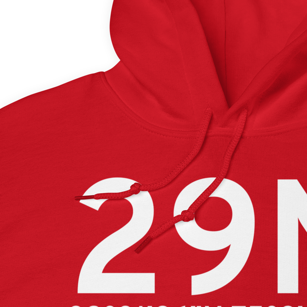 Vineland (29N) Airport Hoodie Sweatshirt 