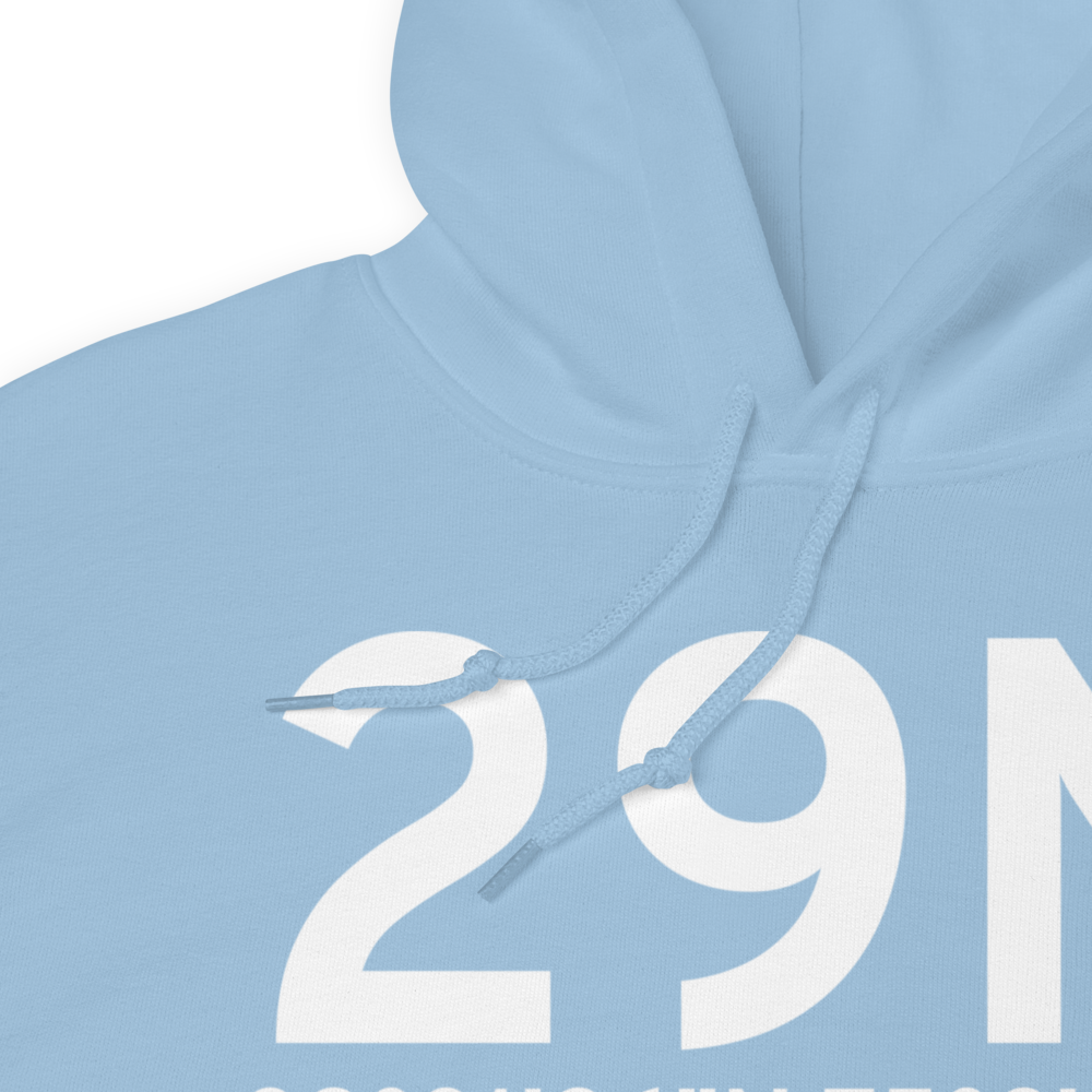 Vineland (29N) Airport Hoodie Sweatshirt 