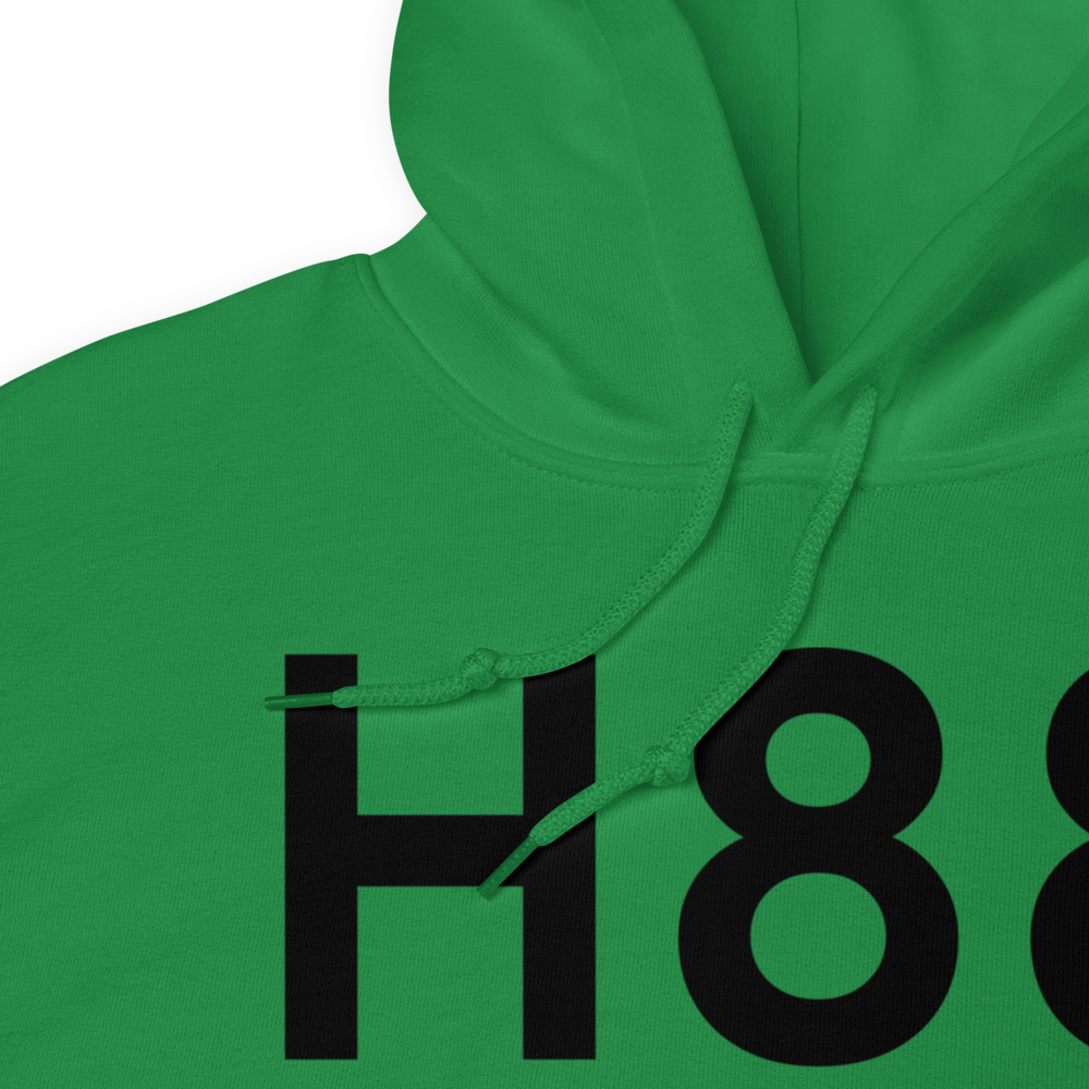 Fredericktown (KH88) Airport Hoodie Sweatshirt 