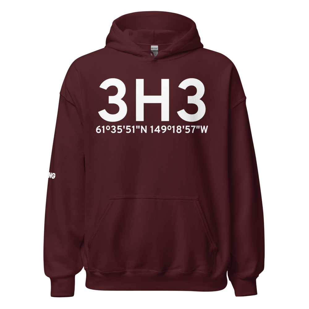 Wasilla (3H3) Airport Hoodie Sweatshirt 