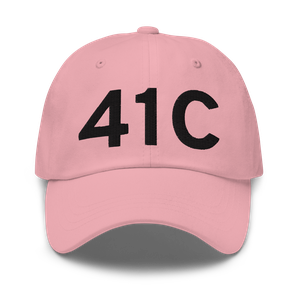 Wayland (41C) Airport Hat