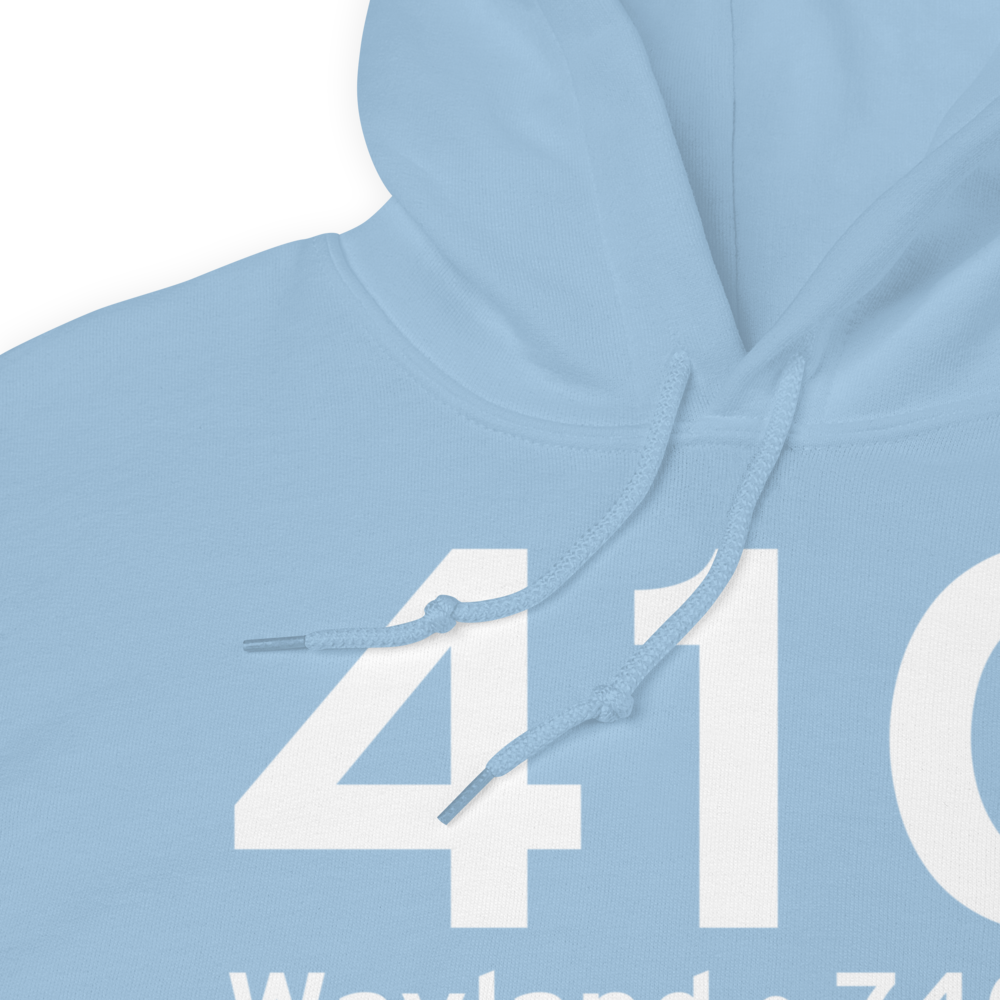 Wayland (41C) Airport Hoodie Sweatshirt 