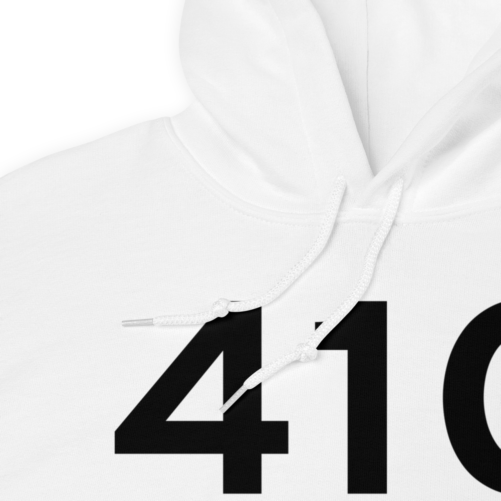 Wayland (41C) Airport Hoodie Sweatshirt 