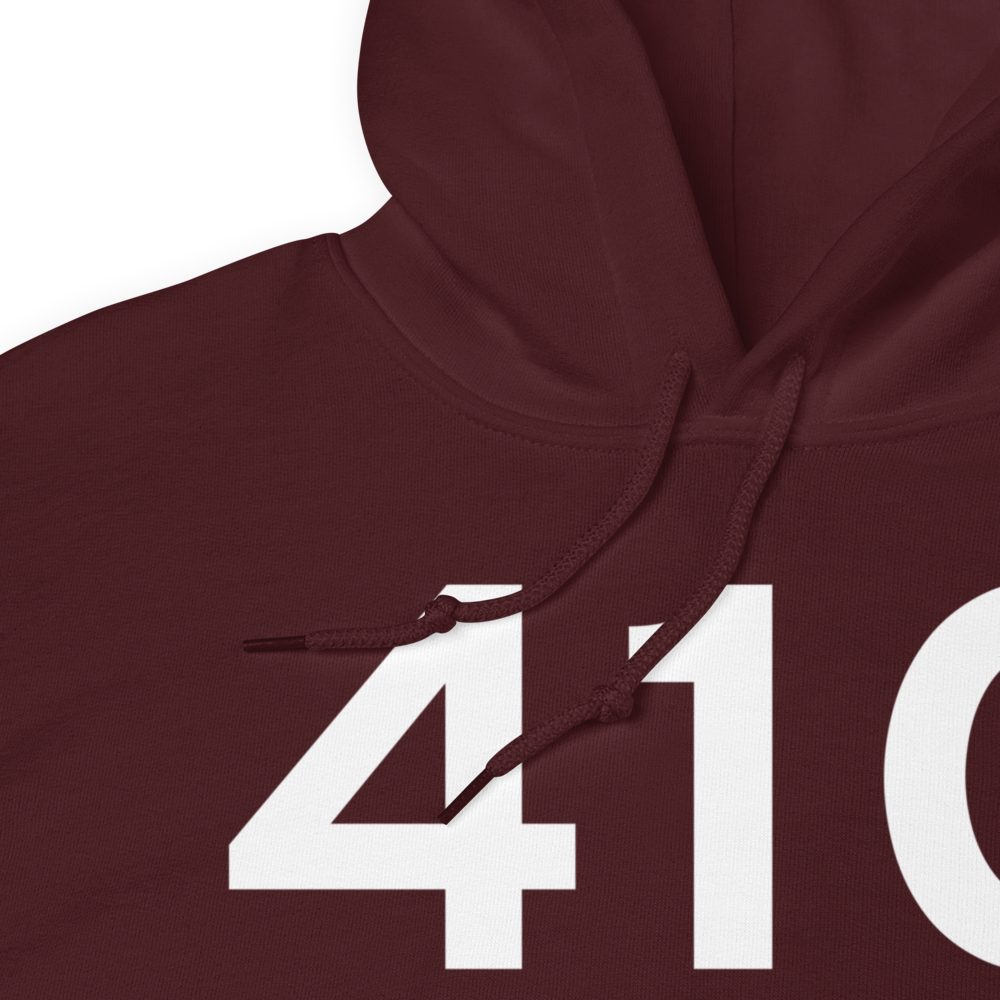 Wayland (41C) Airport Hoodie Sweatshirt 