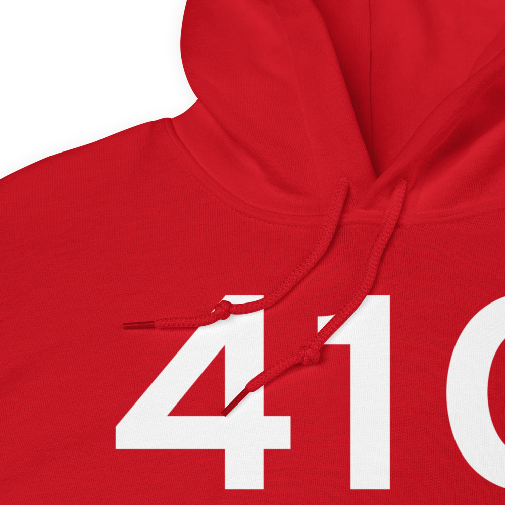 Wayland (41C) Airport Hoodie Sweatshirt 