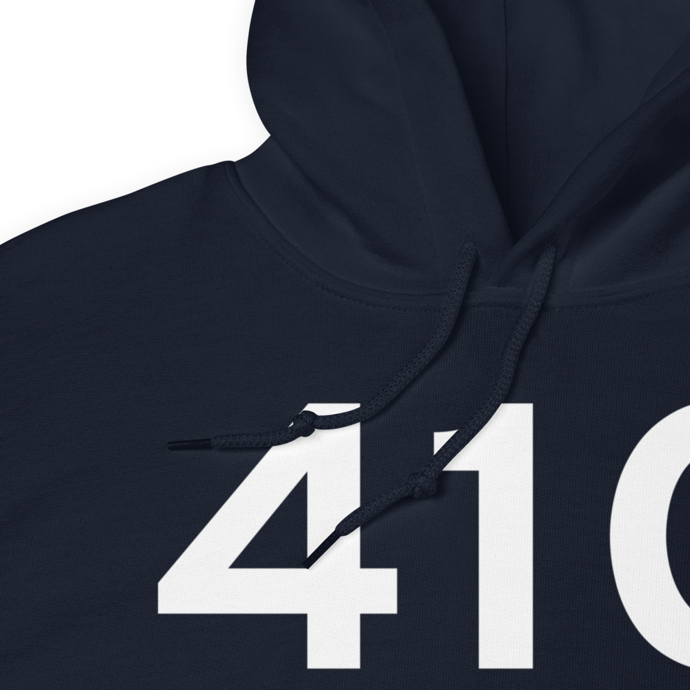 Wayland (41C) Airport Hoodie Sweatshirt 