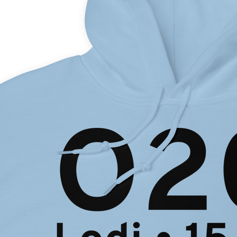 Lodi (KO20) Airport Hoodie Sweatshirt 