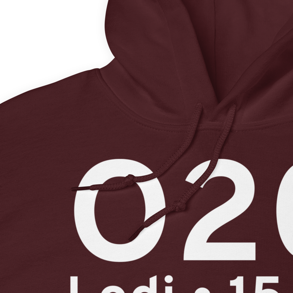Lodi (KO20) Airport Hoodie Sweatshirt 