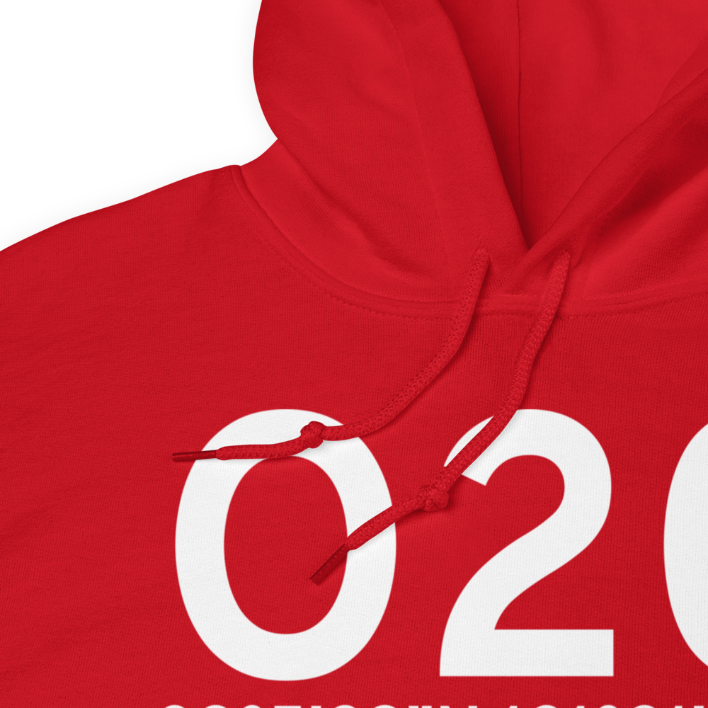 Lodi (KO20) Airport Hoodie Sweatshirt 