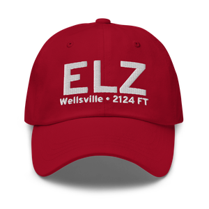 Wellsville (KELZ) Airport Hat