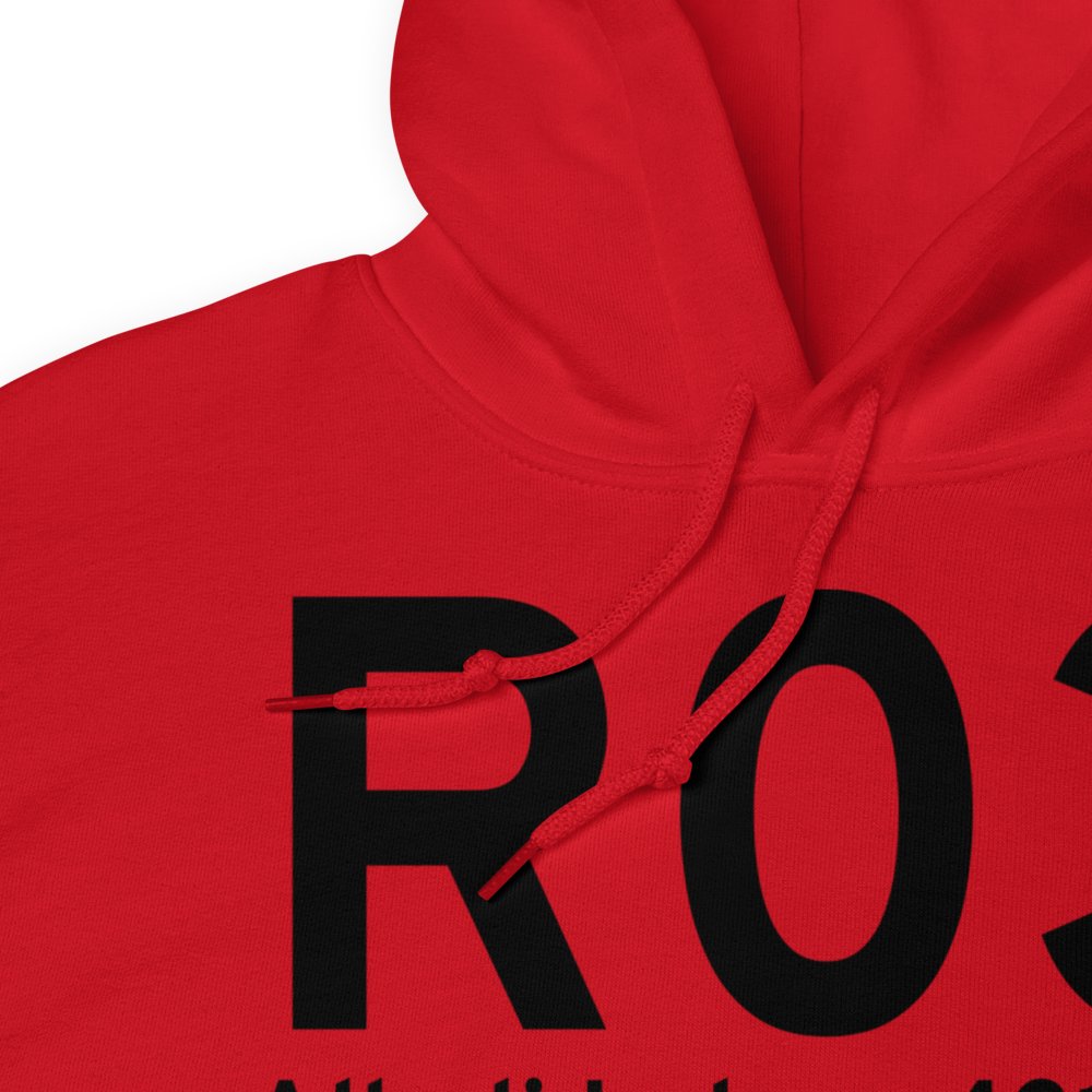 Alkali Lake (R03) Airport Hoodie Sweatshirt 