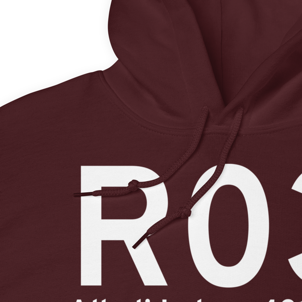 Alkali Lake (R03) Airport Hoodie Sweatshirt 