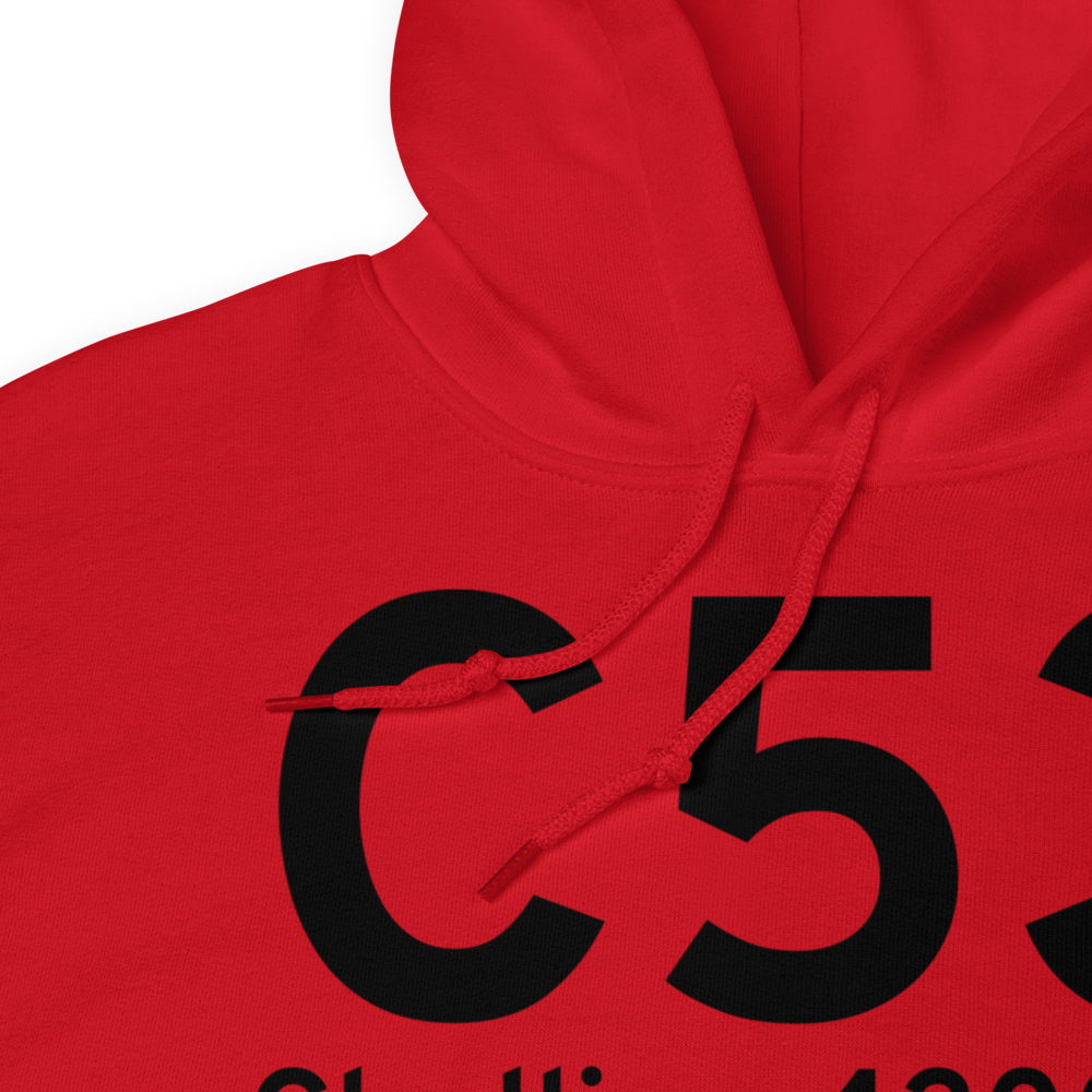 Challis (ID67) Airport Hoodie Sweatshirt 