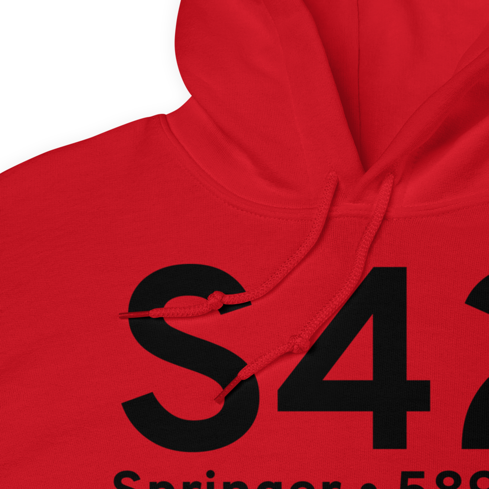 Springer (KS42) Airport Hoodie Sweatshirt 