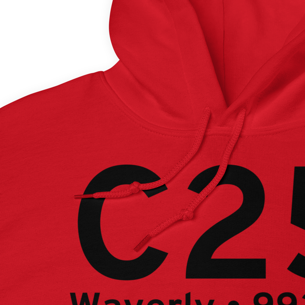 Waverly (C25) Airport Hoodie Sweatshirt 
