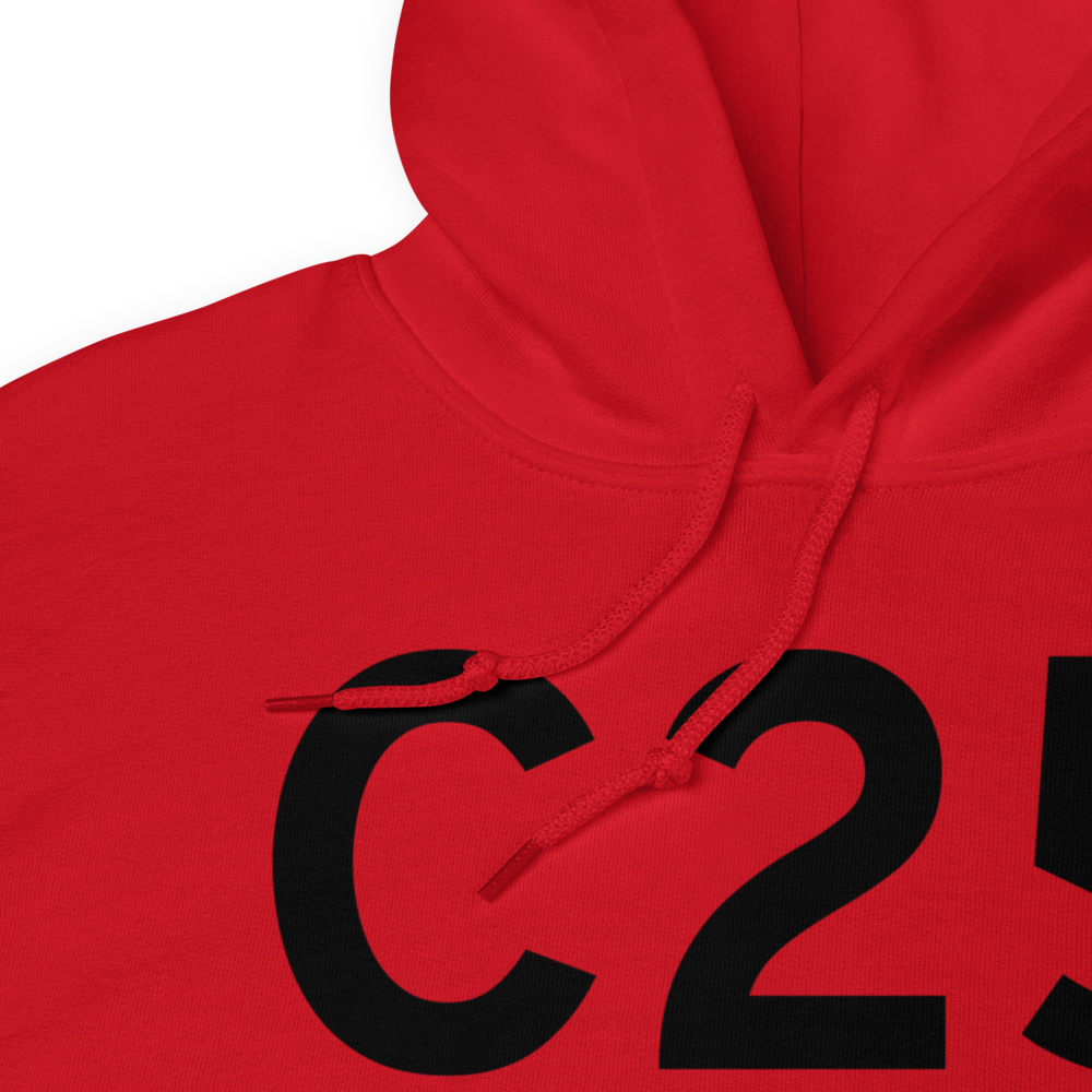 Waverly (C25) Airport Hoodie Sweatshirt 
