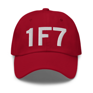 Dallas (1F7) Airport Hat