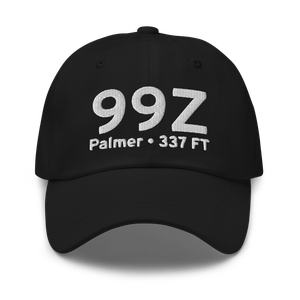 Palmer (99Z) Airport Hat