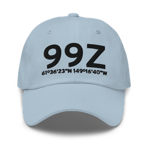 Palmer (99Z) Airport Hat