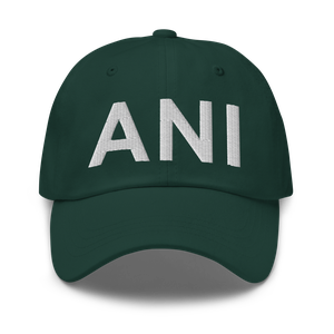 Aniak (PANI) Airport Hat