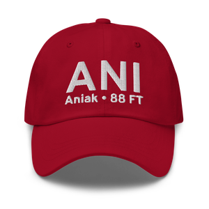 Aniak (PANI) Airport Hat