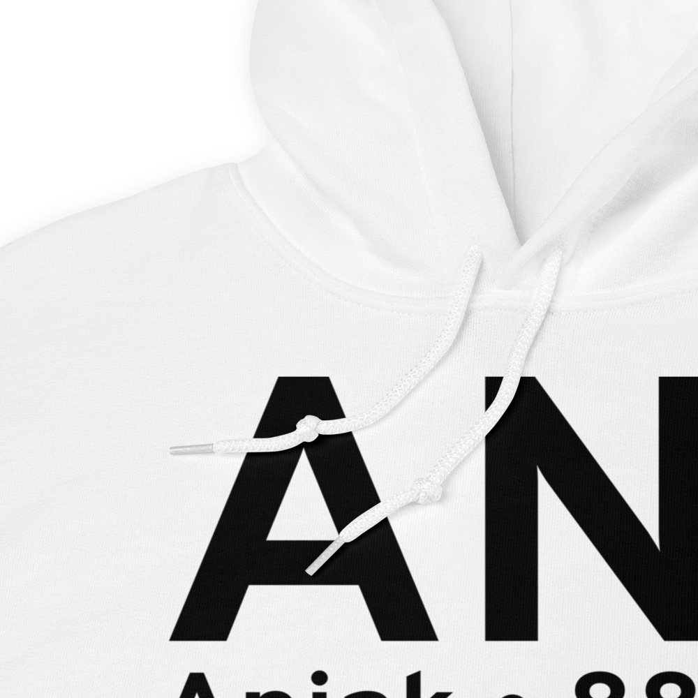Aniak (PANI) Airport Hoodie Sweatshirt 