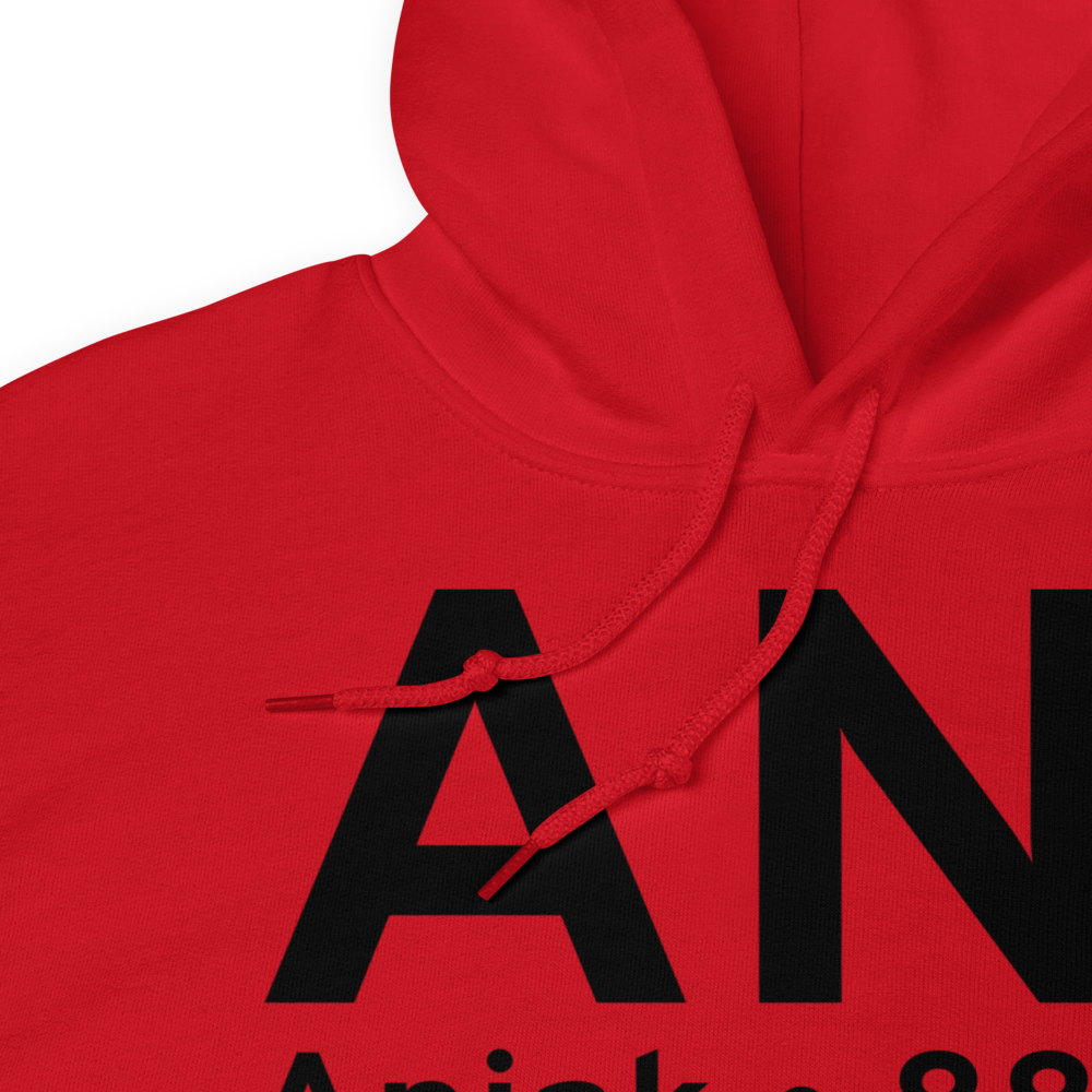 Aniak (PANI) Airport Hoodie Sweatshirt 