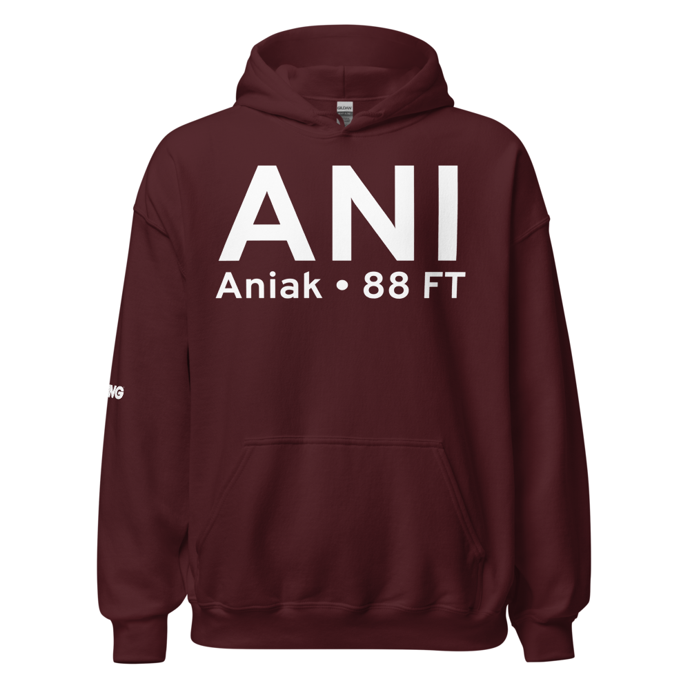 Aniak (PANI) Airport Hoodie Sweatshirt 
