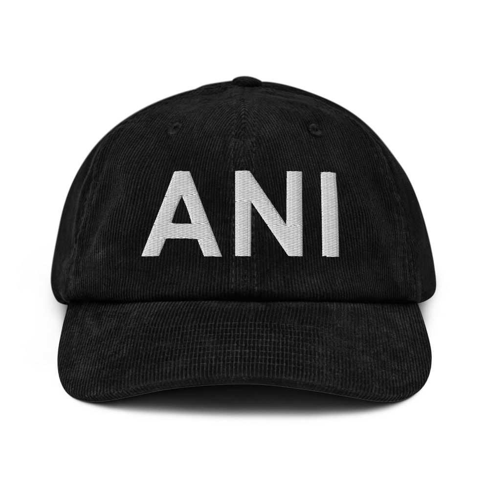 Aniak (PANI) Airport Hat 