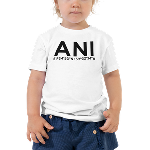 Aniak (PANI) Airport Toddler T-Shirt