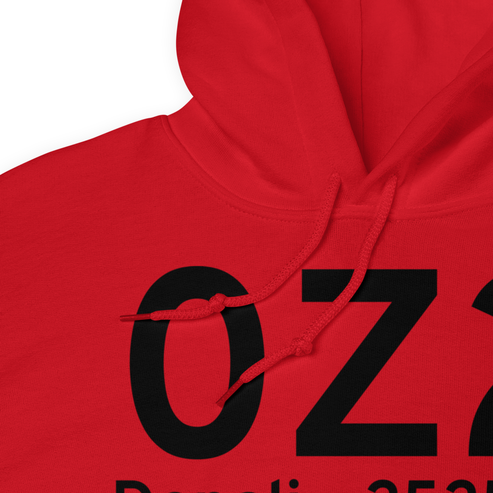 Denali (0Z2) Airport Hoodie Sweatshirt 