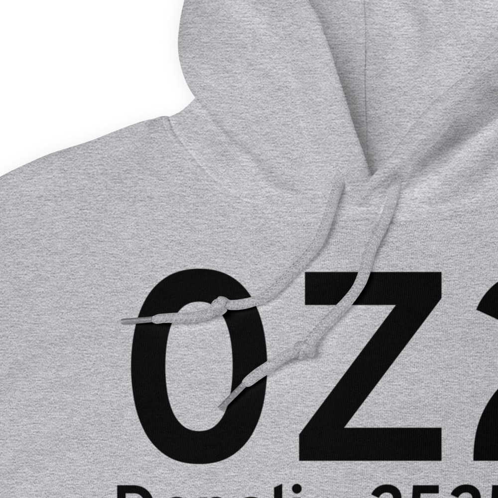 Denali (0Z2) Airport Hoodie Sweatshirt 
