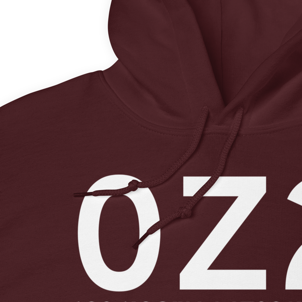 Denali (0Z2) Airport Hoodie Sweatshirt 