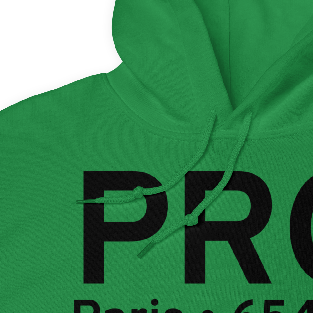 Paris (KPRG) Airport Hoodie Sweatshirt 