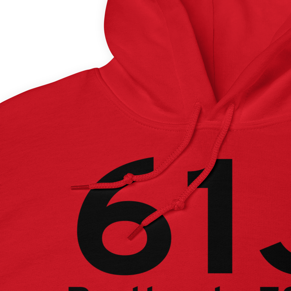 Portland (61J) Airport Hoodie Sweatshirt 