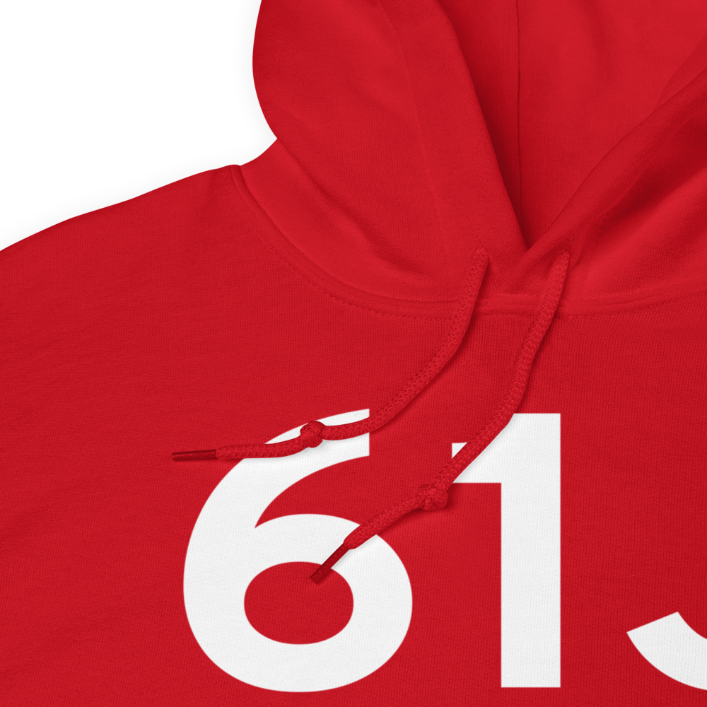 Portland (61J) Airport Hoodie Sweatshirt 