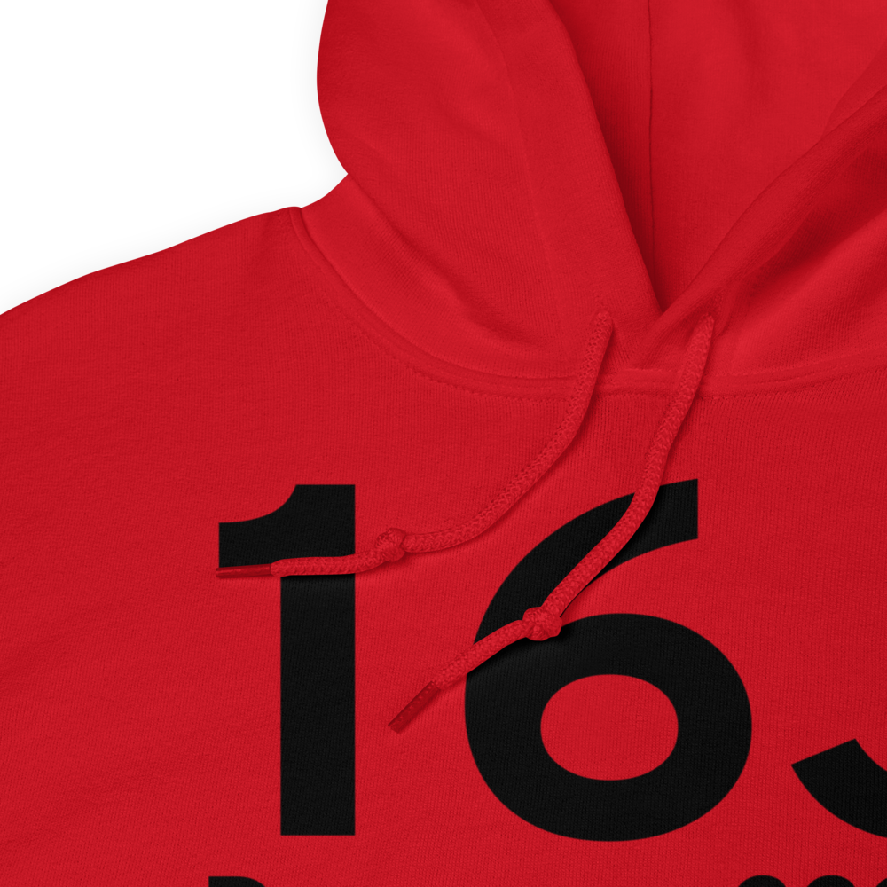 Dawson (K16J) Airport Hoodie Sweatshirt 