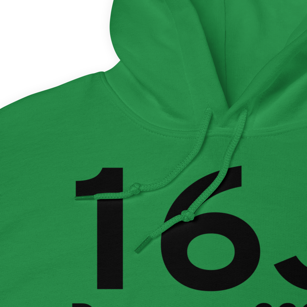 Dawson (K16J) Airport Hoodie Sweatshirt 