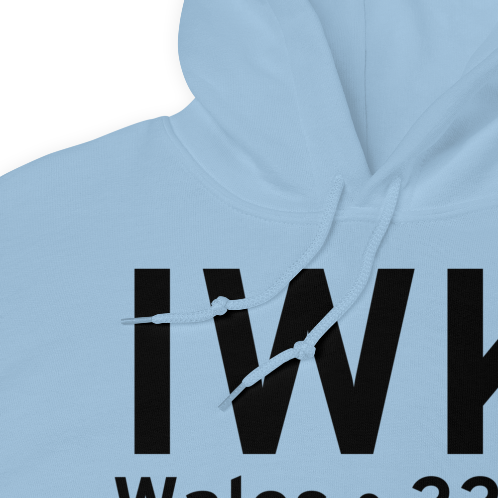Wales (PAIW) Airport Hoodie Sweatshirt 