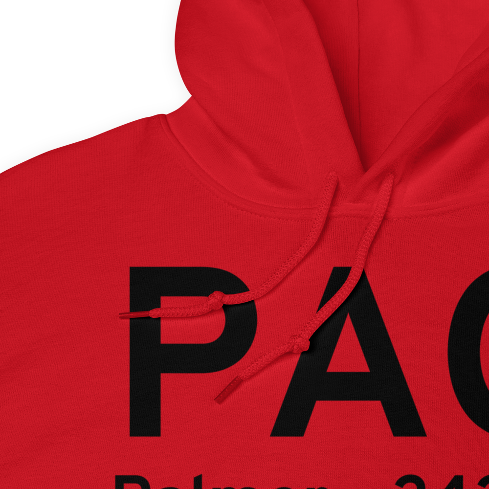 Palmer (PAAQ) Airport Hoodie Sweatshirt 