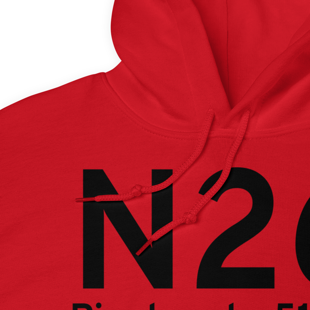 Pinehurst (N26) Airport Hoodie Sweatshirt 