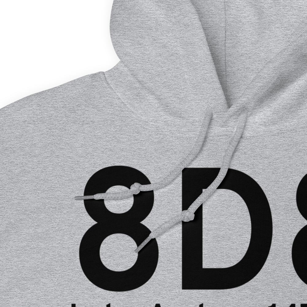 Lake Andes (8D8) Airport Hoodie Sweatshirt 