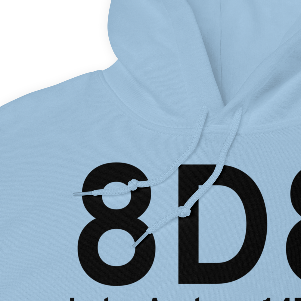 Lake Andes (8D8) Airport Hoodie Sweatshirt 